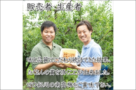 【0462-3】紀州南高梅 しそ梅(塩分15%) 10kg