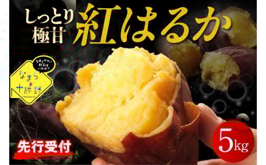 【12月以降発送】北海道十勝芽室町 なまら十勝野 芽室町産さつまいも【紅はるか】５㎏　me001-029c