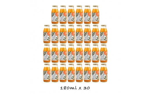 
小田原産江之浦みかん１００％ストレートジュース１８０ml３０本
