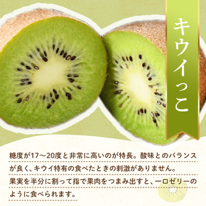 【旬のお届け フルーツ定期便 2回】Kセット さぬきゴールド 約2.7kg キウイっこ 約1.8kg キウイ 旬 フルーツ 果物 国産 香川県 F5J-789