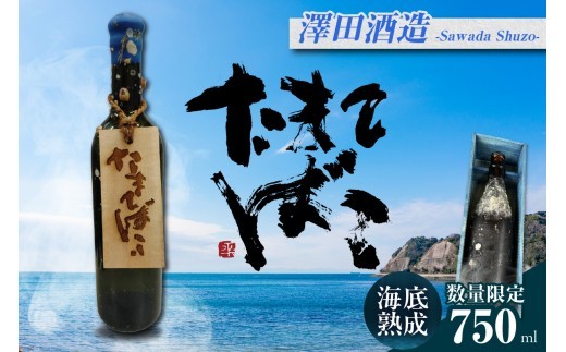 【テレビで紹介！】伊勢湾竜宮熟成酒「たまてばこ」【澤田酒造】│天然熟成酒 日本酒 玄米使用 お酒 アルコール 贅沢 純米酒 熟成酒 海底熟成 地酒井上屋 愛知県 常滑市