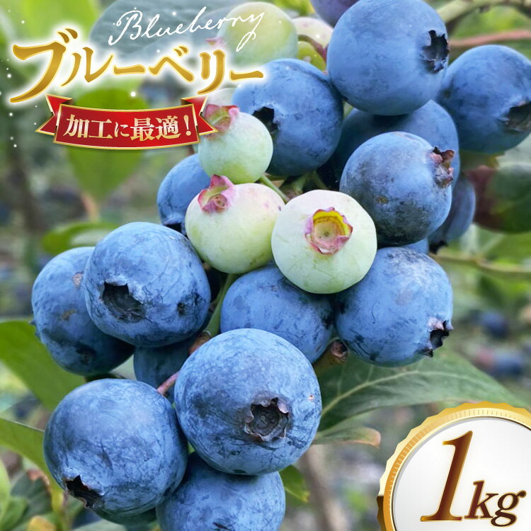 【ふるさと納税】ブルーベリー 冷凍 250g 4パック 計 1kg [いきつきブルーベリー園 moon berry's kitchen 長崎県 平戸市 hr42bhb500002] 完熟 デザート スイーツ スムージー 小分け