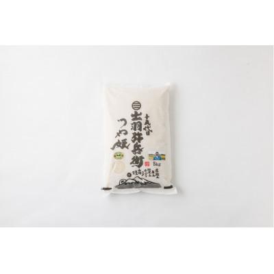 ふるさと納税 鶴岡市 山形県産 令和7年産 特別栽培米 つや姫 白米 30kg