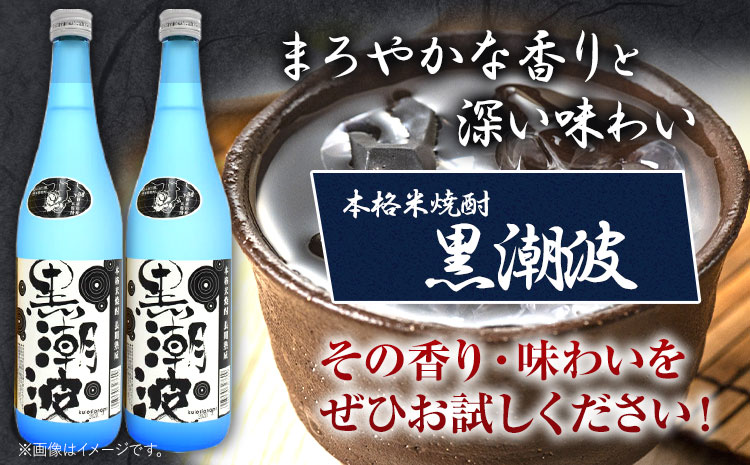 本格米焼酎黒潮波（くろしおなみ）720ml×2本厳選館《90日以内に出荷予定(土日祝除く)》酒本格米焼酎焼酎米焼酎---wsh_genkn_90d_22_13000_2p---