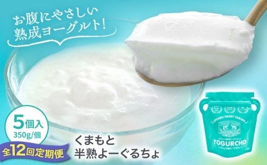 【全12回定期便】オオヤブデイリーファーム くまもと半熟よーぐるちょ 350g×5個 / よーぐるちょ ヨーグルト よーぐると ノンホモ 濃厚 熟成 朝食 デザート 乳製品 乳酸菌 熊本 合志 人気【株式会社 オオヤブデイリーファーム】[AYAE024]