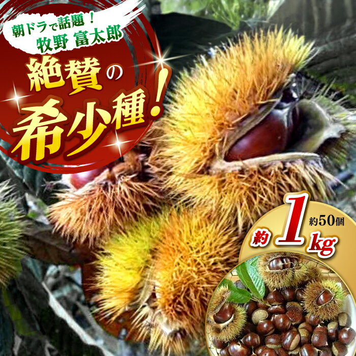 【ふるさと納税】【先行予約】ほくほく甘い！熟成した夢甘栗 高級生栗＜秀品規格＞ 約1kg (約50個前後) /栗 くり 季節 秋 旬 直送【仁淀川流域夢甘栗生産者組合 くり蔵】[ATDR002]