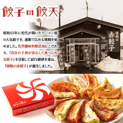 ふるさと納税 秋田市 【4種餃子48個詰合せ】餃子の餃天|15_ggt-024801 |  | 02