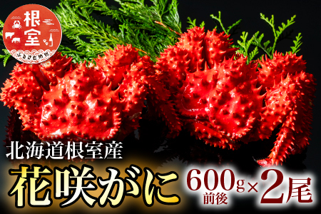 【北海道根室産】花咲がに600g×2尾[8月上旬以降発送] B-20001
