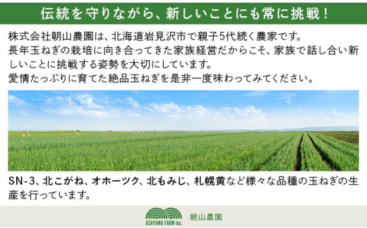 【順次配送】畑から直送の新鮮野菜！玉ねぎ（オホーツク222）20kg｜タマネギ たまねぎ 玉葱 北海道 岩見沢市【a168-006-0】