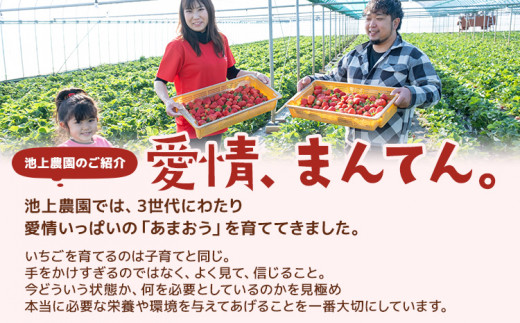 【先行予約】朝摘みあまおう 800g ※2027年1月中順次出荷予定 BD01-1