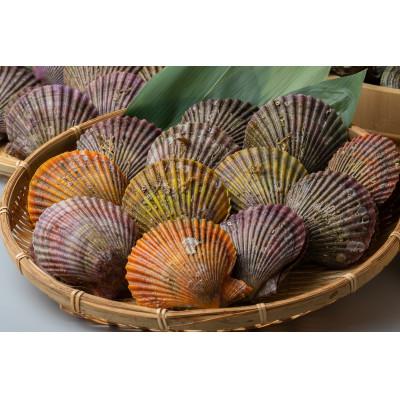 ふるさと納税 対馬市 対馬の2枚貝ヒオウギ貝 |  | 02