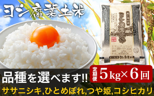 【新米予約】＜定期便6回＞令和6年産 ヨシ腐葉土米 ササニシキ 合計30kg【毎月5kgを6回に渡りお届け】 米 ご飯 定期配送 