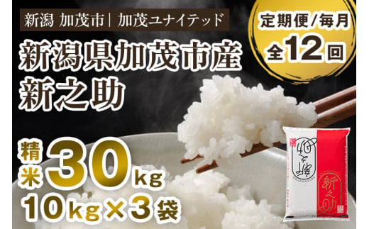 【令和6年産新米先行予約】【定期便12ヶ月毎月お届け】新潟県産 新之助 精米30kg 《10kg×3袋》 新潟 ブランド米 加茂市 加茂ユナイテッド