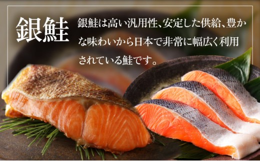 【順次配送】骨取り 銀鮭切り身 2kg（2切×10P）【ru-0900】 | 銀鮭 切身 鮭 切り身 骨取り 銀鮭 塩銀鮭 2kg 小分け 真空パック 冷凍 syake 登別市