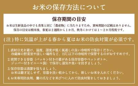 自然栽培 ひのひかり 玄米 10kg 【2025年10月下旬より発送予定】 米 お米 ご飯  うきは市