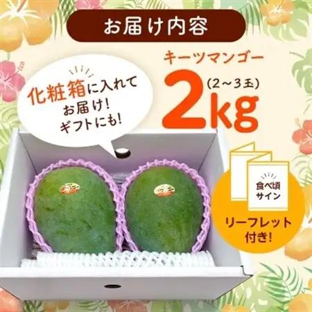 【2027年8月中旬から順次発送・化粧箱】JAおきなわ厳選!沖縄県産キーツマンゴー2kg(2～3玉)【配送不可地域：離島】【1494471】