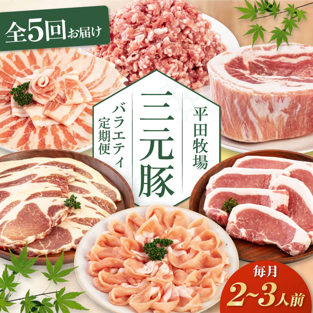 【ふるさと納税】　定期 三元豚 バラエティ定期便 2~3人前 ▼ 全5回 定期便 《喜茂別町》【平田牧場】 肉 豚肉 ロース バラ肉 ステーキ セット 定期便 北海道 平田牧場 [AJAP126]