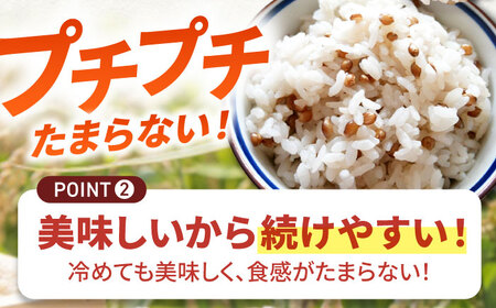 【全6回定期便】白石産 もち麦 900g（300g×3袋）/回（総計5.4kg）【道の駅しろいしカンパニー】[IAA035]
