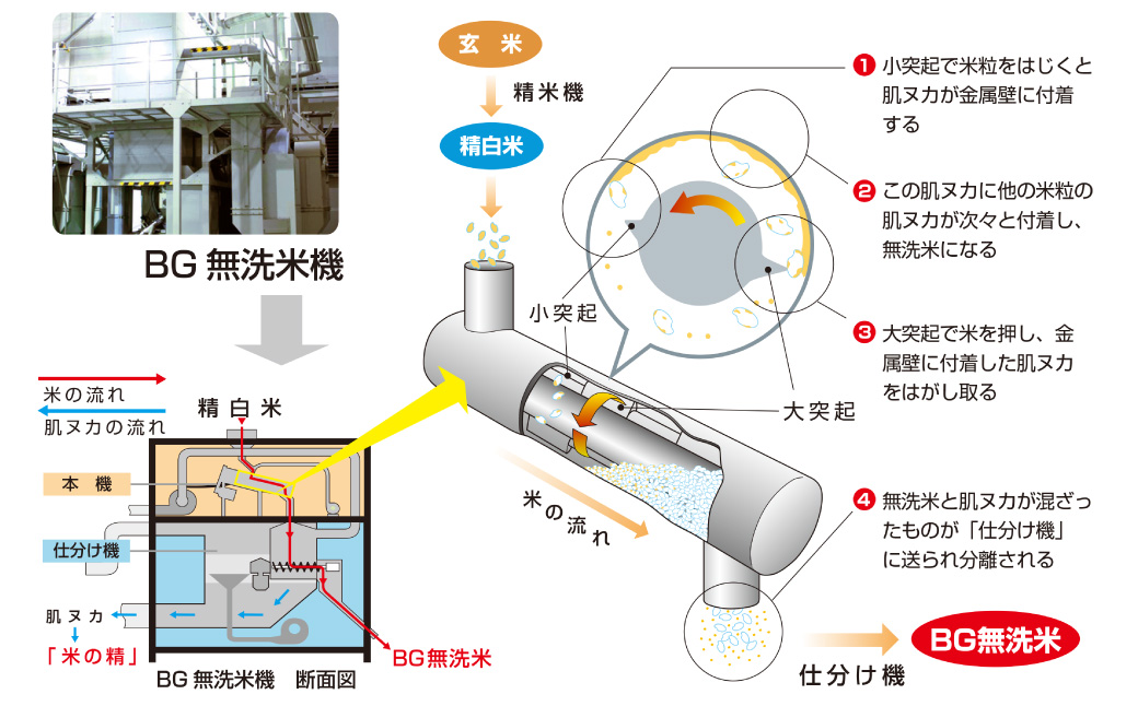 子育て応援米 【令和6年産】 奈義町産米 BG無洗米 （ きぬむすめ ） 5kg 【2024年10月上旬～発送予定】 お米 米 無洗米 岡山県