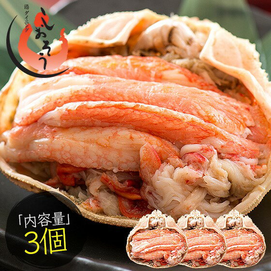 【ふるさと納税】まるごと使用！ ズワイ蟹 甲羅盛り × 3個 セット【しおそう 海鮮 蟹 かに ズワイガニ かに味噌 卵 お酒のアテ つまみ お中元 お歳暮 ギフト 贈り物 先行予約 おせち】