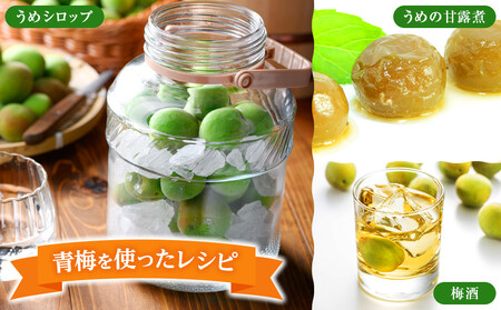 青梅 4kg 紀州南高梅 シロップ・梅酒・梅干し用等 和歌山県有田産 訳あり　2026年5月下旬～7月上旬発送予定