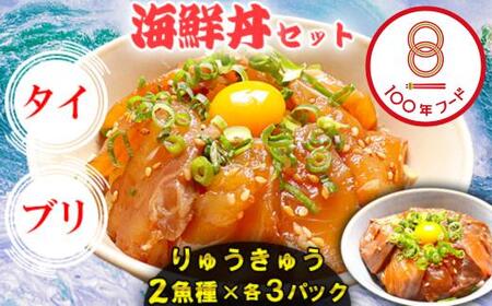 りゅうきゅう 海鮮丼 漬け丼 2種 真鯛 ぶり りゅうきゅう 