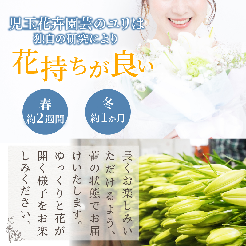 【2週間以内発送】≪期間限定≫LA ユリ(白) 約15本_T045-0041【生花 切花 百合 国産 人気 ギフト 花 花束 生花 植物 鑑賞用 贈り物 お土産 送料無料 プレゼント】