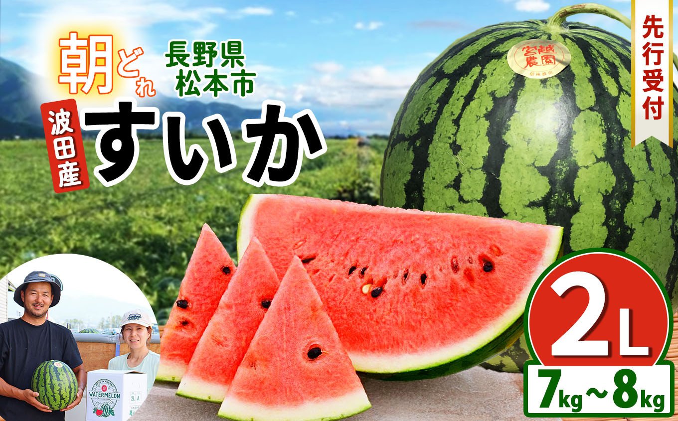 
            【先行受付】松本市　波田産　すいか　2L（7kg～8kg)│ 信州 松本市 長野県 西瓜 すいか 果物 スイカ フルーツ くだもの フルーツ ふるーつ
          