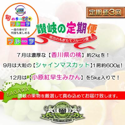 ふるさと納税 坂出市 【発送月固定定期便】創業100年の老舗が選んだ讃岐のフルーツの定期便【Dコース3回】全3回 |  | 02