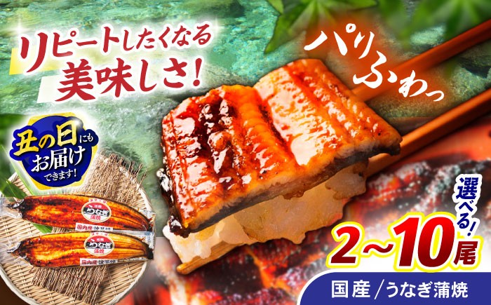 
                  ＜選べる容量＞諫早淡水 うなぎ蒲焼 2～10尾 / うなぎ ウナギ 鰻 蒲焼き 蒲焼 かばやき ひつまぶし うな重 うな丼 冷凍 unagi 特大/ 諫早市 / 諫早淡水株式会社 [AHAT004] 丑の日 土用丑の日  
                