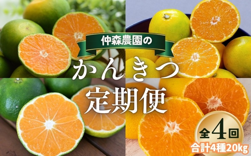 
                  【全4回】仲森農園の柑橘定期便 合計4種 20kg 【超極早生温州「みえ紀南一号」・極早生温州・由良早生・早生温州「完熟熊野みかん」】 みかん ミカン 蜜柑 温州みかん 温州ミカン 柑橘 みかん定期便 フルーツ定期便 果物定期便 柑橘定期便 フルーツ 果物 くだもの 甘い 旬 人気 産地直送 三重県 熊野市【nkmr-tkb0004】
                