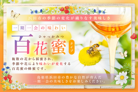 水のきれいな浜田市金城町産「いわみの里山　純粋はちみつ」500g×２本【1903】