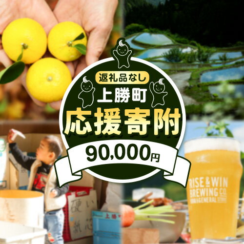 【ふるさと納税】徳島県 上勝町 応援寄附 1口 90000円【返礼品なし】