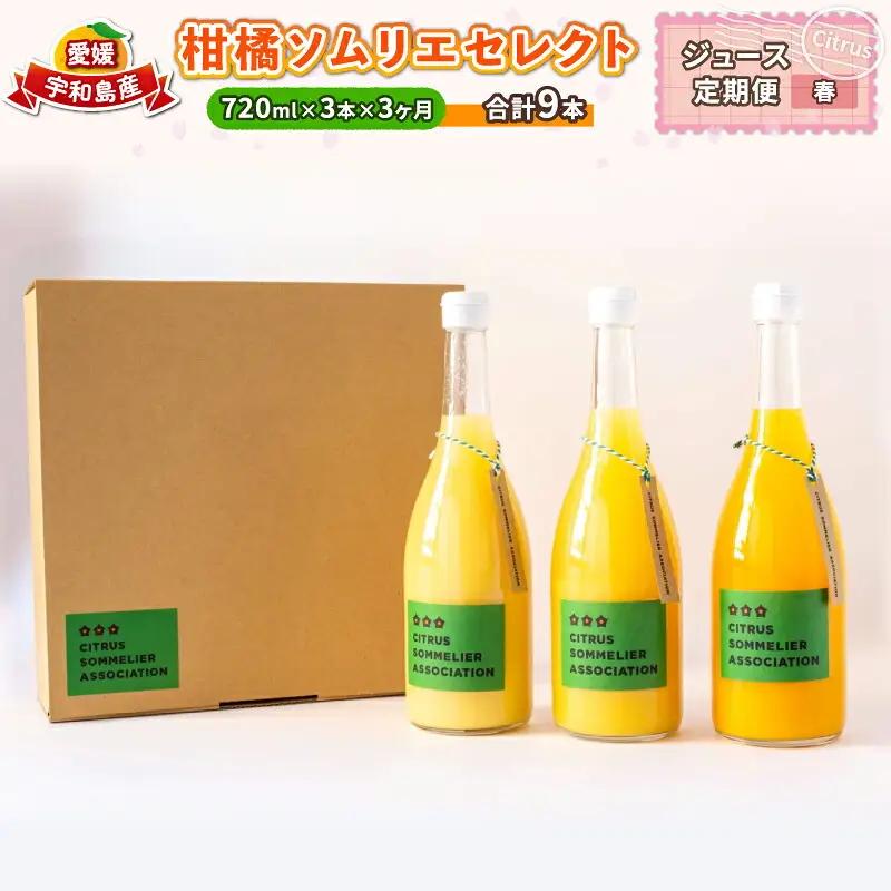ジュース定期便 3回 720ml × 3本 計9本 柑橘ソムリエ 定期便 H040-064002
