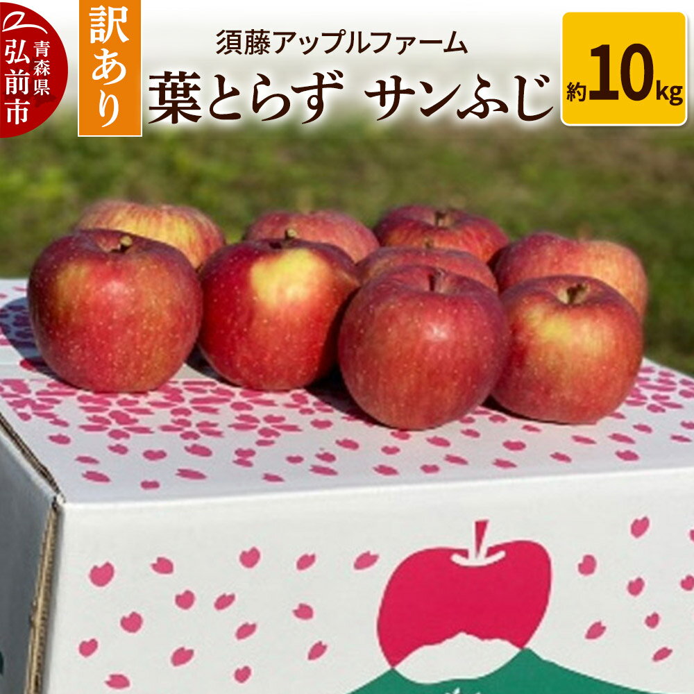 【ふるさと納税】りんご【訳あり】家庭用 葉とらず サンふじ 約10kg