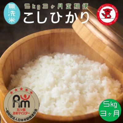 ふるさと納税 銚子市 【毎月定期便】【無洗米】千葉県産コシヒカリ 5kg全3回