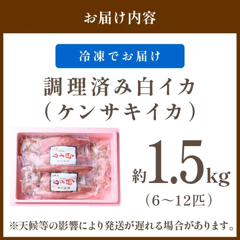 白イカケンサキ正味1.5kg しろいか