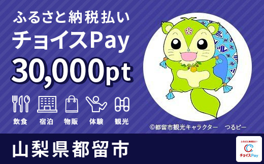 
都留市 チョイスPay 30,000ポイント【会員限定のお礼の品】
