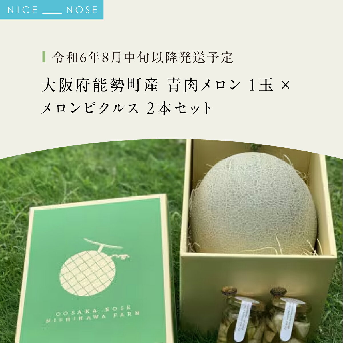 【ふるさと納税】《令和8年8月初旬発送予定》 大阪府能勢町産 青肉メロン 『アールスメロン』1玉 (約1.5kg) × メロンピクルス 2本 (150g×2) セット | 西河農園 | 国産 フルーツ 果物 デザート 甘い | 8月発送 夏季限定 | 詰め合わせ ギフト | 大阪府 能勢町 送料無料