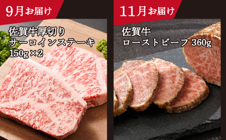 n-20【定期便6回】大人気の赤身も食べられる 極上の佐賀牛 奇数月発送 全6回