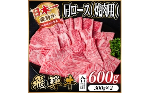 飛騨牛　厳選肩ロース(焼肉・BBQ用)600g(300g×2)A4～A5等級＜冷凍便＞小分け【1674158】