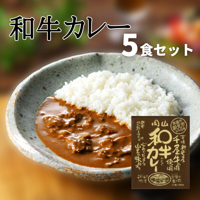 【ふるさと納税】レトルト カレー 和牛カレー レトルトカレー ビーフカレー 5食 セット 千屋牛 和牛 おすすめ 美味しい 人気 レトルト食品 レトルトパウチ A級食材 特産品 キャンプ アウトドア 一人暮らし 常温 贅沢 簡単 手軽 ギフト プレゼント お土産 贈り物