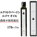 【ふるさと納税】エゴマオイル(EGOMA OIL) 170g 無農薬栽培 低温直圧搾油法 大分県産 先行予約＜143-008_5＞