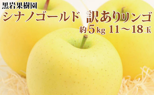 
[No.5657-2641]シシナノゴールド 訳ありりんご 約5kg（約11～18玉）《黒岩果樹園》■2024年発送■※10月下旬頃～12月下旬頃まで順次発送予定
