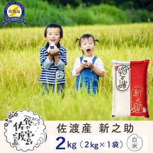 佐渡島産 新之助 白米2kg×1袋