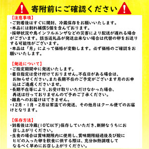 みかんたまご と 純卵-じゅんたまご 2種の卵食べ比べセット 計40個(10個×4パック) ※割れ保証5個 (卵 たまご タマゴ 玉子 卵料理 卵かけごはん TKG エッグ egg 松山 愛媛県 )