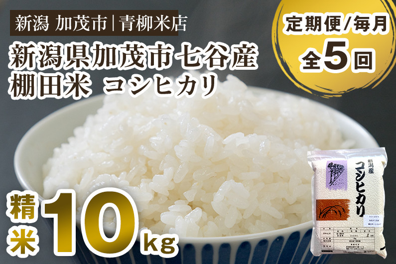 
                  【令和8年産新米先行予約】【定期便5ヶ月毎月お届け】新潟産コシヒカリ 加茂市七谷産 棚田米 精米10kg（5kg×2）《9月下旬～順次出荷》 白米 真空パック 青柳米店 定期便
                