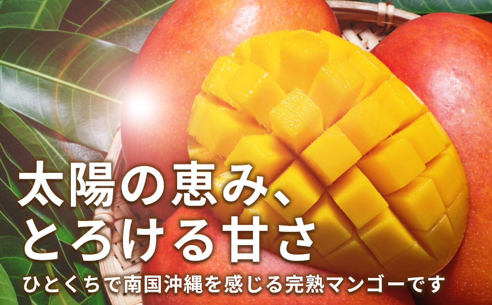 沖縄県産 訳ありマンゴー 2kg【 先行予約 2026年発送 】マンゴー 濃厚 甘い ジューシー 南国 フルーツ 果物 産地直送 訳あり 国産 お取り寄せ 沖縄 うるま市