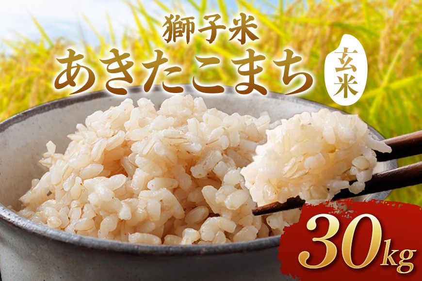 
                  【令和8年産】獅子米 あきたこまち 玄米30kg
                
