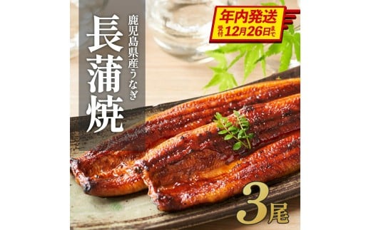ふるさと納税限定　鹿児島県大崎町産 国産 うなぎ長蒲焼 3尾 計480g以上 | 鰻 うなぎ蒲焼き うな重 ひつまぶし ウナギ 蒲焼 人気 おすすめ 鹿児島 大隅半島 DU002　